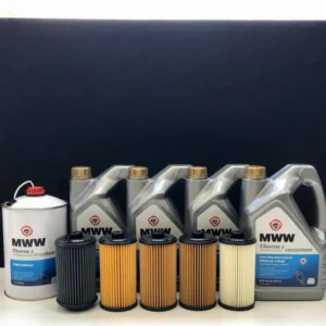 Kit de Manutenção Preventiva Motor MWM